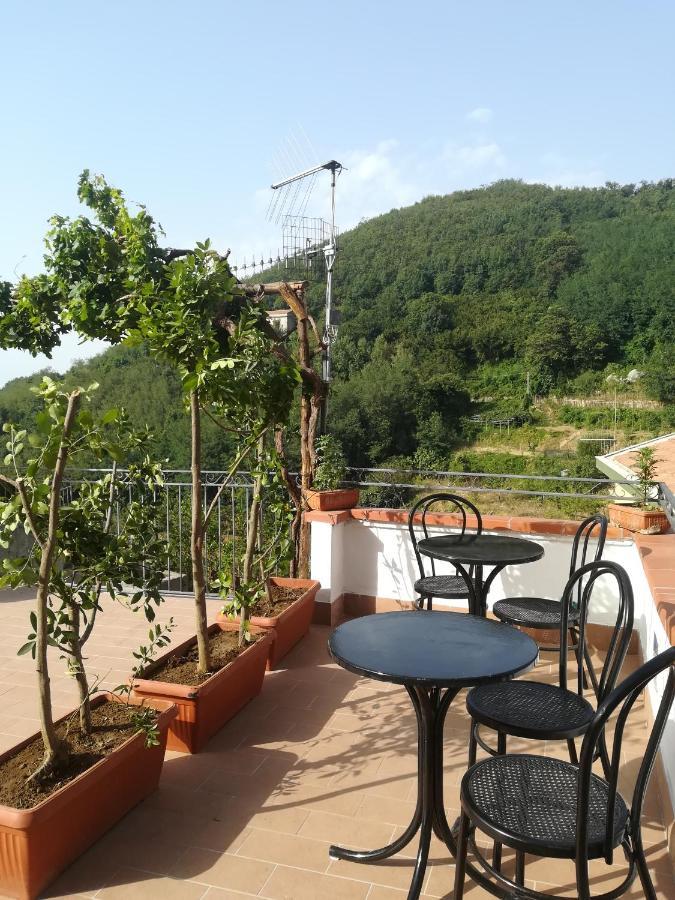 VietriIl Covo Delle Civette住宿加早餐旅馆 外观 照片
