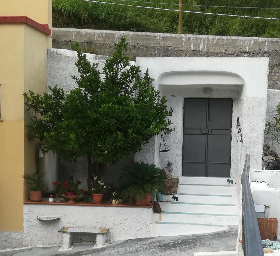 VietriIl Covo Delle Civette住宿加早餐旅馆 外观 照片