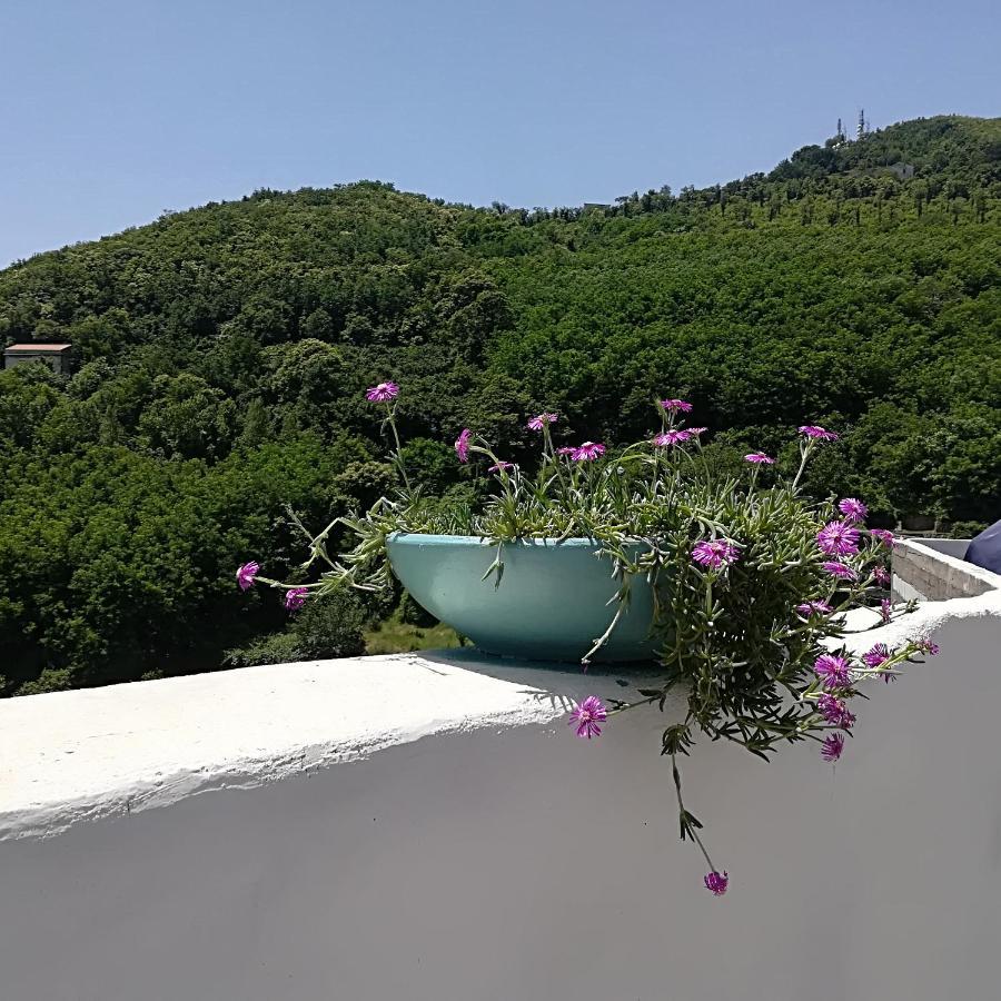VietriIl Covo Delle Civette住宿加早餐旅馆 外观 照片
