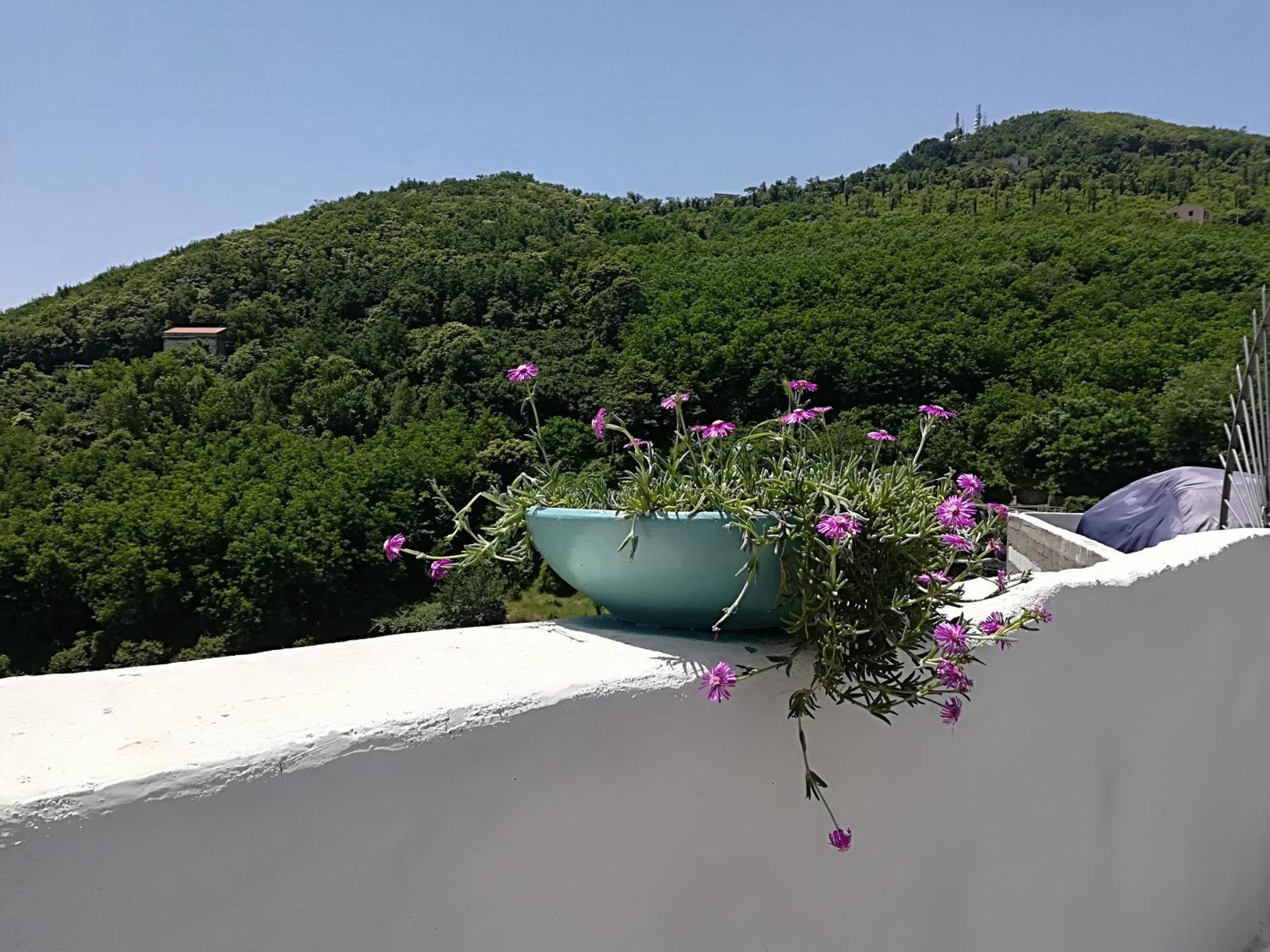 VietriIl Covo Delle Civette住宿加早餐旅馆 外观 照片